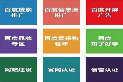 百度竞价代理实战技巧：经典案例深度解读