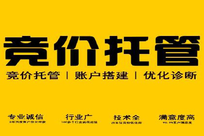 某公司sem竞价开户策略解析及效果评估